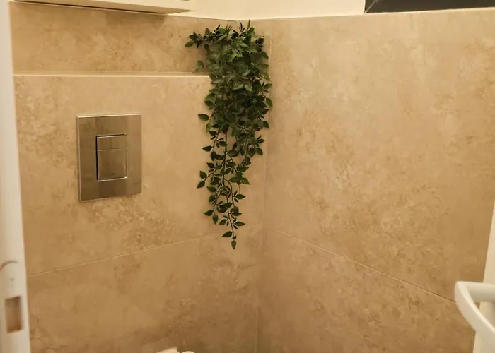 Luciana Di Santa Lucia